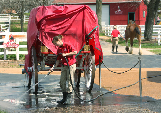 Grant's Farm gets ready for opening day